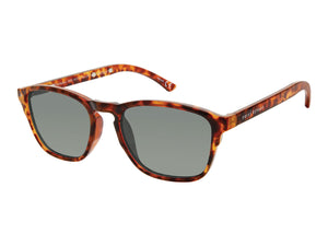 Prive Revaux Square Sunglasses - THE NELSON/S Brown Havana