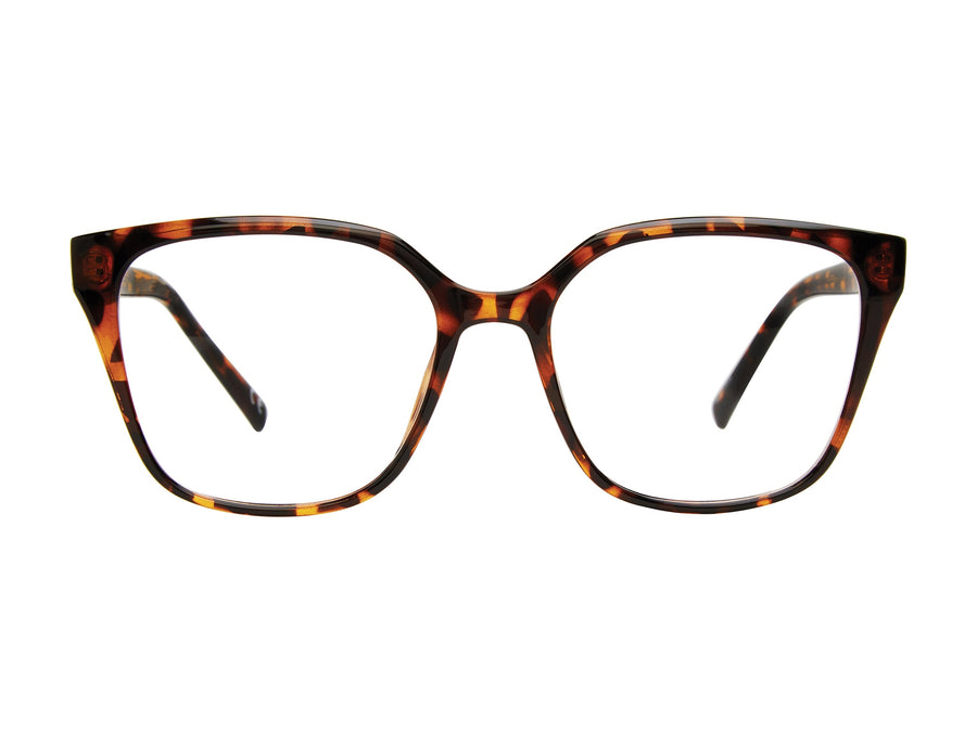 Prive Revaux  Square Frames - THE LEIGHTON Brown Havana