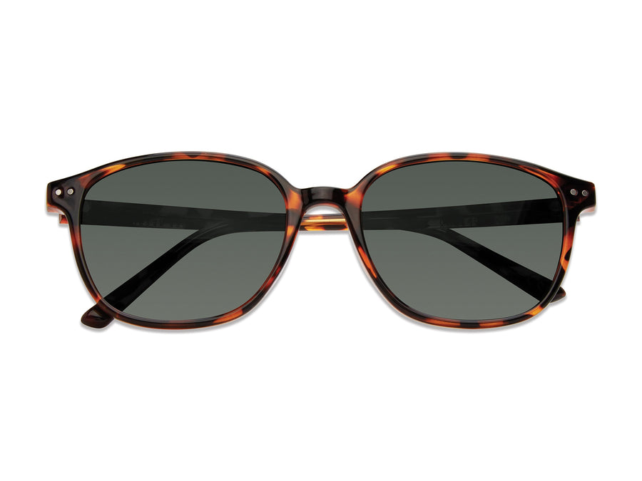 Prive Revaux Round Sunglasses - THE DADE/S Brown Havana