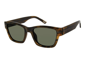 Prive Revaux Square Sunglasses - THE ALTON/S Horn