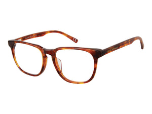 Prive Revaux  Square Frames - PINECREST