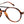 Load image into Gallery viewer, Prive Revaux Round Frames - COOL BEANS Havana
