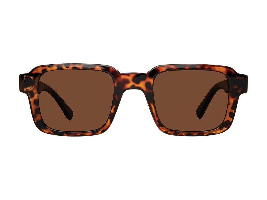 Prive Revaux  Square Sunglasses - FIT CHECK/S Brown