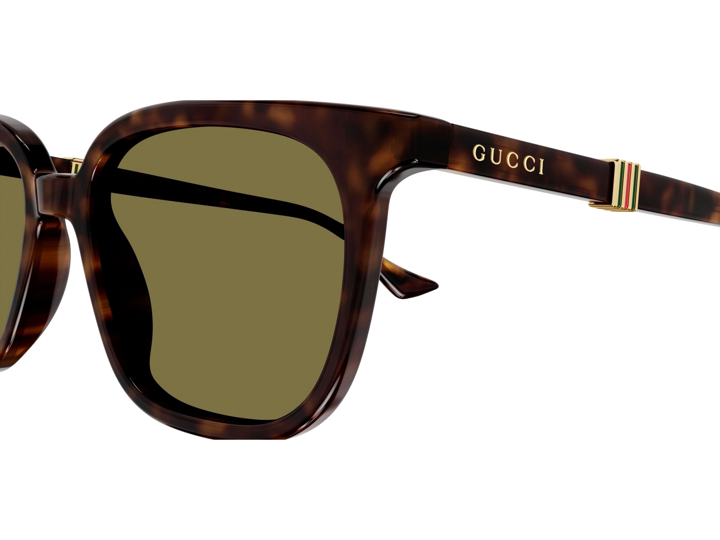 美品✨GUCCI Sunglasses Tortoiseshell Unisex GUCCI（グッチ） Eyewear Fair 2024 in PARIS MIKI SHINSAIBASHI