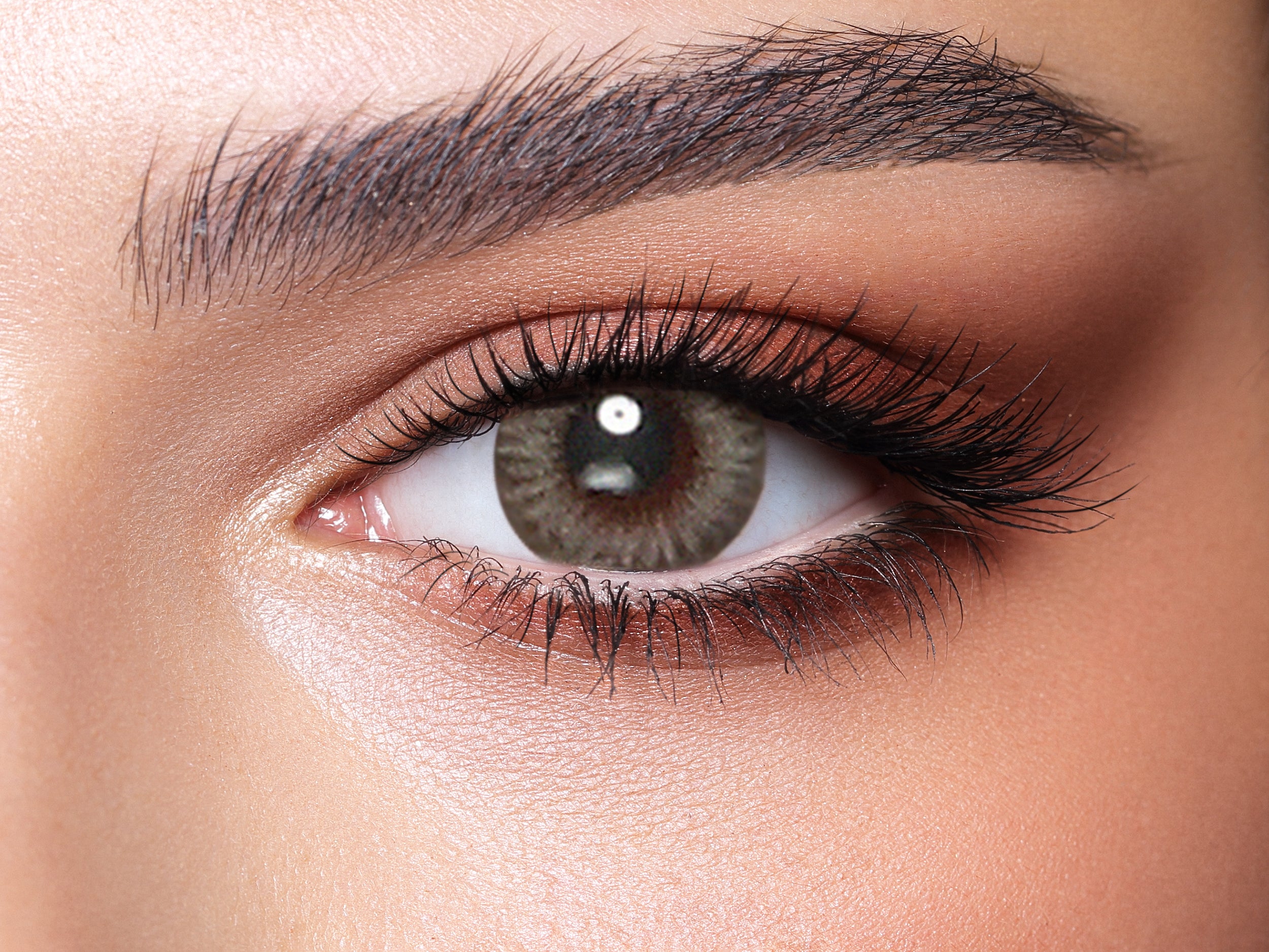Bella Daily Platinum Gray – Happy Vision