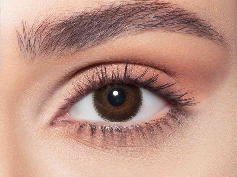 Bella Daily Cedar