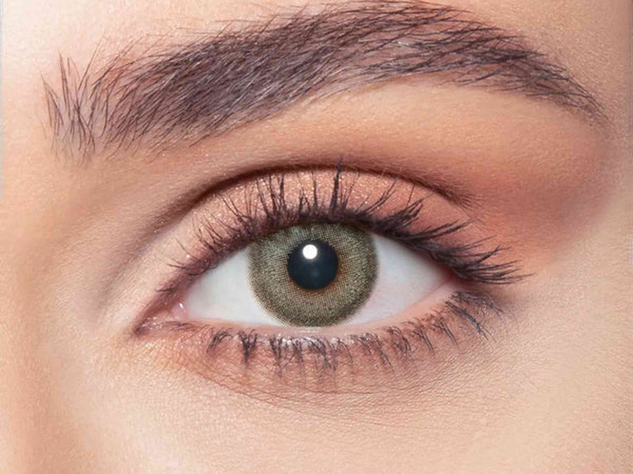 Bella Daily Pine